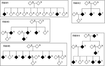 Evaluation of Gene-Based Family-Based Methods to Detect Novel Genes Associated With Familial Late Onset Alzheimer Disease